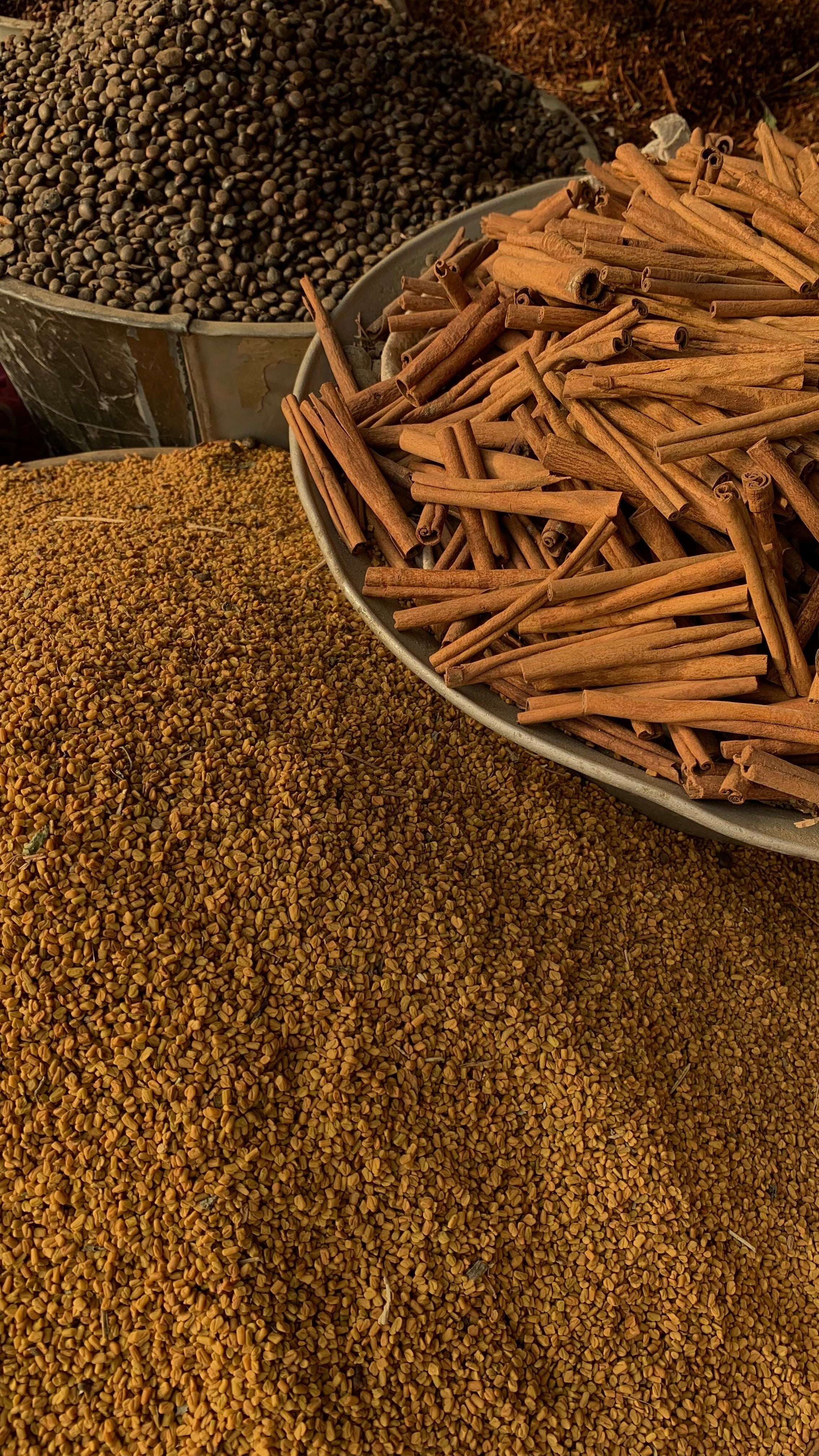 لبذور والجذور