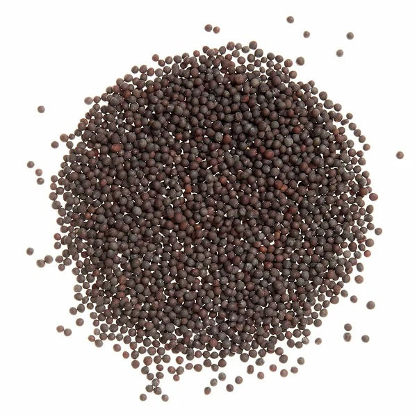 حبوب الخردل الاسود