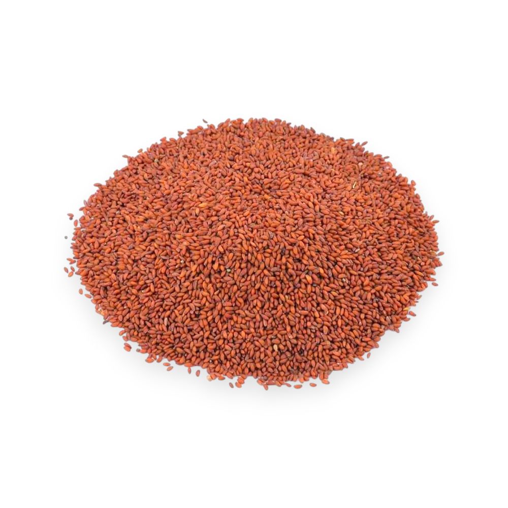 بذور الجرجير